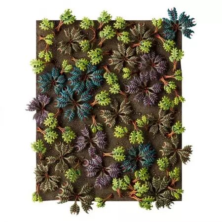 Citadel : Accessoires - Barbed Bracken