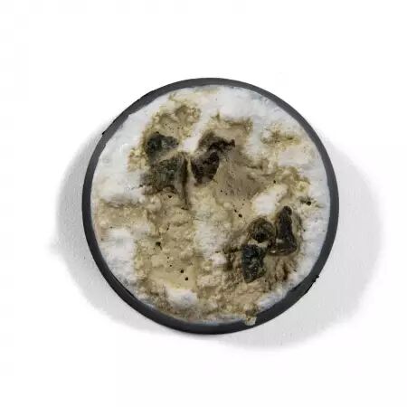 Ak Interactive - Concrete - Liquid Pigment