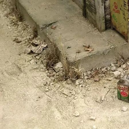 Terrains Light Earth - 250Ml (Acrylic) - Diorama AK Interactive