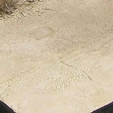 Light & Dry Crackle Effects - 100Ml (Acrylic) - Diorama AK Interactive