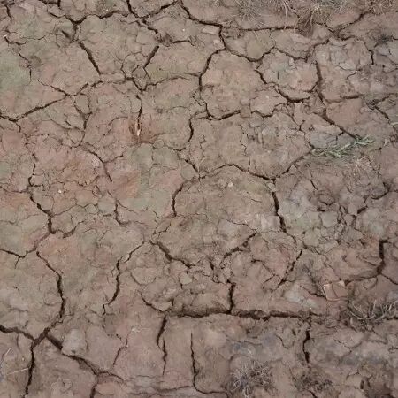 Wet Crackle Effects - 100Ml (Acrylic) - Diorama AK Interactive