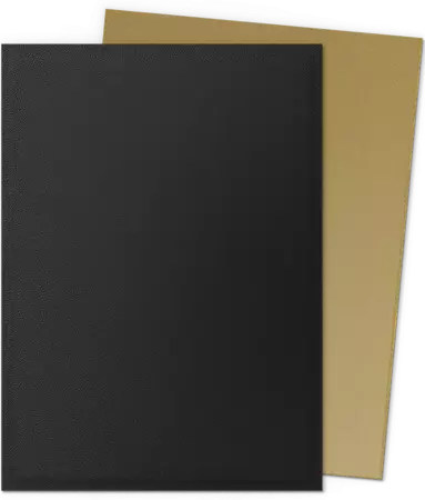 100 Dragon Shield Standard sleeves : Matte Black & Gold