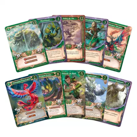 Arackhan Wars Saison 1  LÉveil de lOrdre Gris (boîte de base 1ère édition)