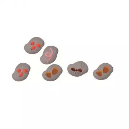 Attention... prêts ? mangez !