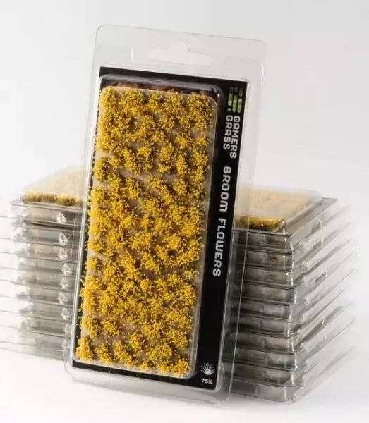 Broom Flowers - Gamers Grass