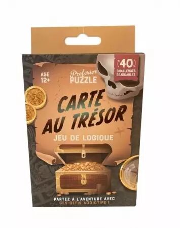 Carte au trésor - Jeu de Logique -  Professor Puzzle