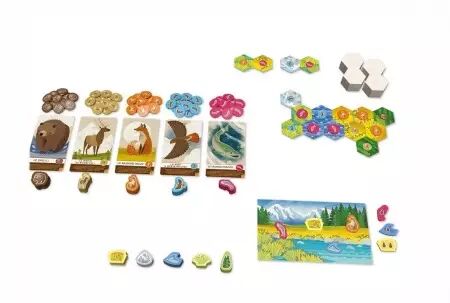 Cascadia Junior - Fertessa Allyse et Randy Flynn - Lucky Duck Games