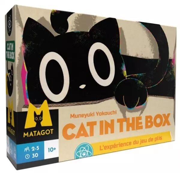 Cat in the box