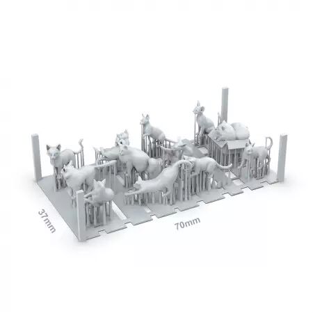 Cats - Basing Bits - Ak Interactive