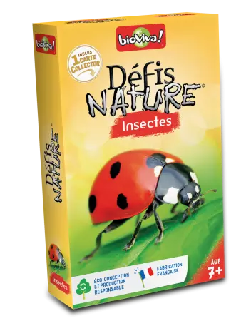 Défis Nature - Insectes 2024