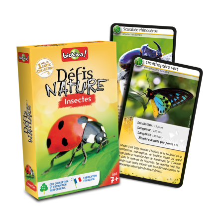 Défis Nature - Insectes 2024