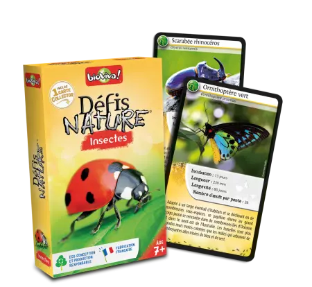Défis Nature - Insectes 2024