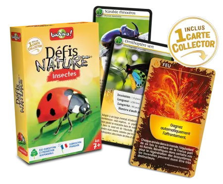 Défis Nature - Insectes 2024