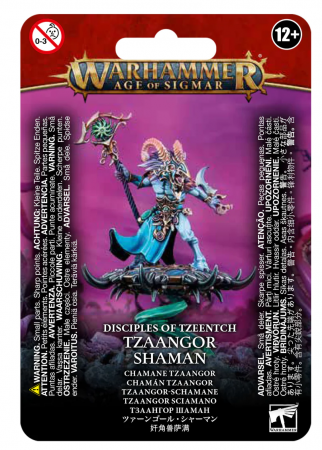 Disciples de Tzeentch - Tzaangor Shaman (Tzaangor Shaman) - Warhammer Age of Sigmar - Games Workshop