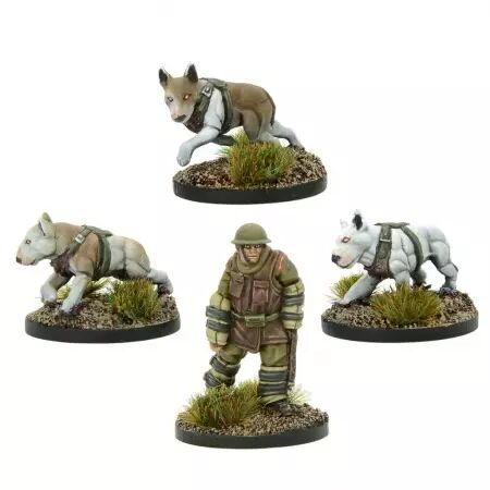  Empire of Japan starter army - Konflict 47 - Warlord Games