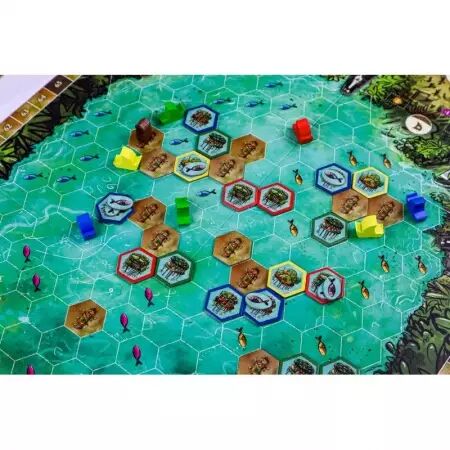 Feya\'s Swamp - Grail Games 