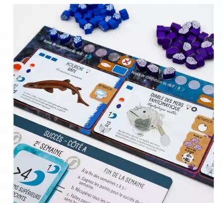 Finspan : Requins & R&eacute;cifs (Extension) - Matagot 