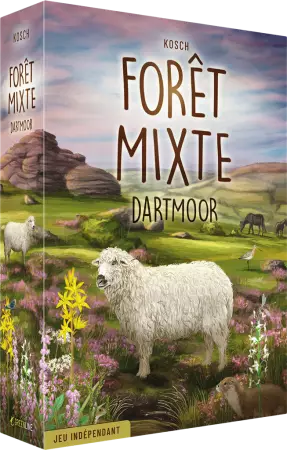 For&ecirc;t Mixte : Dartmoor