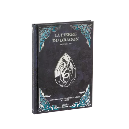 La Pierre du Dragon - Roman dont vous �tes le h�ros illustr�