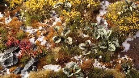 Laser Plants - Bugloss - Gamers Grass