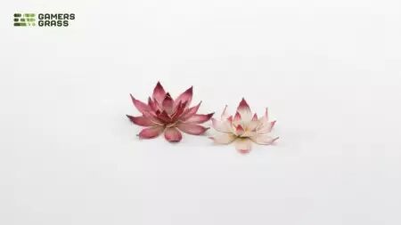 Laser Plants - Lotus Flower - Gamers Grass