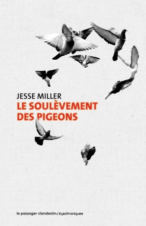 Le soulèvement des pigeons - Jesse Miller