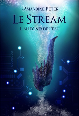 Le Stream - Tome 01 : Au fond de l\'eau - Amandine Peter