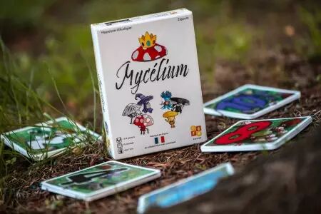 Mycelium - Sofa Edition