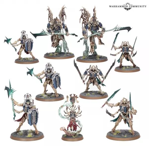 Ossiarch Bonereapers - Fer de Lance (Spearhead 2025) - Elite Des Mortisans - Warhammer Age of Sigmar