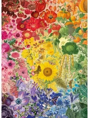 Puzzle 1000 Pi&egrave;ces - Colours of Nature 