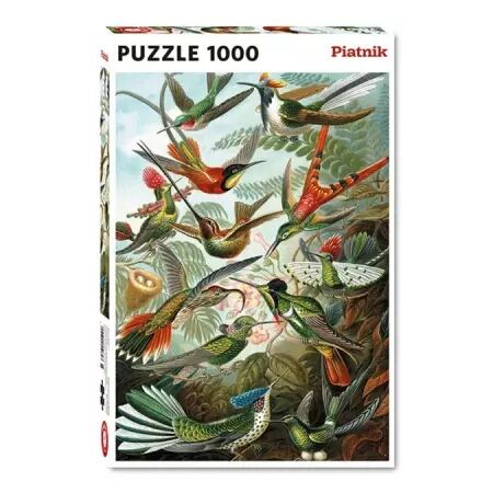 Puzzle 1000 pièces - Haeckel - Colibris