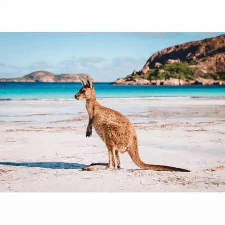 Puzzle Ushuaia - Island Archway 1000pcs & Kangourou 500 pcs