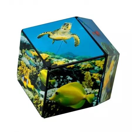 Shashibo - Plusieurs variantes