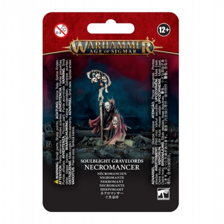 Soulblight Gravelords - Nécromancien (Necromancer) - Warhammer Age of Sigmar - Games Workshop