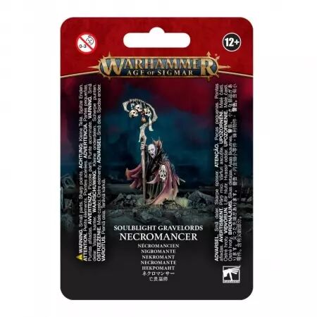 Soulblight Gravelords - Nécromancien (Necromancer) - Warhammer Age of Sigmar - Games Workshop