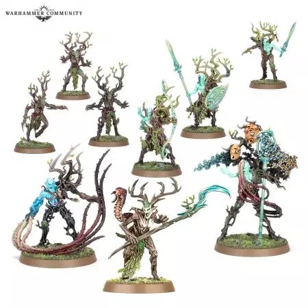 Sylvaneth - R&eacute;giment de renom :  La Branchetorve -  Warhammer Age of Sigmar