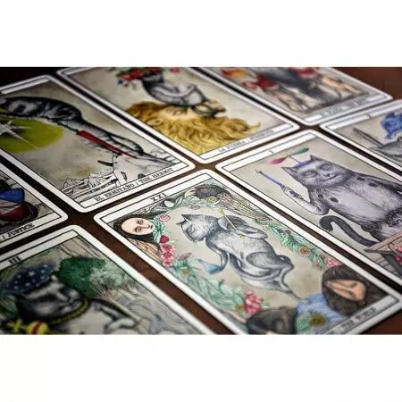 Tarot divinatoire Cats par Ana Juan