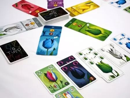 Tulip - Quentin Lammerant - Les Tontons Joueurs