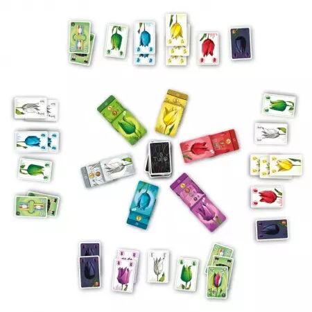 Tulip - Quentin Lammerant - Les Tontons Joueurs