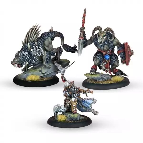 Warmachine - Khador Old Umbrey Battlegroup Box